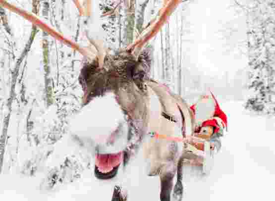 Rovaniemi Santa Claus Adventure